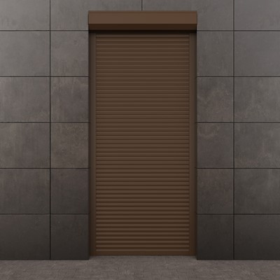 Ролети на двері Ролети на двері